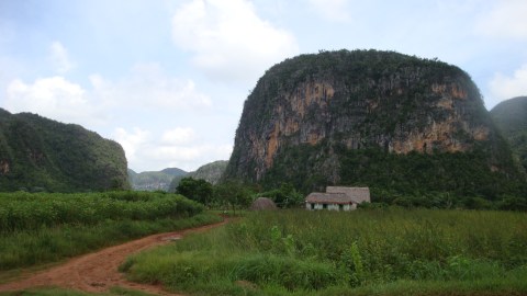 Vinales Vinales