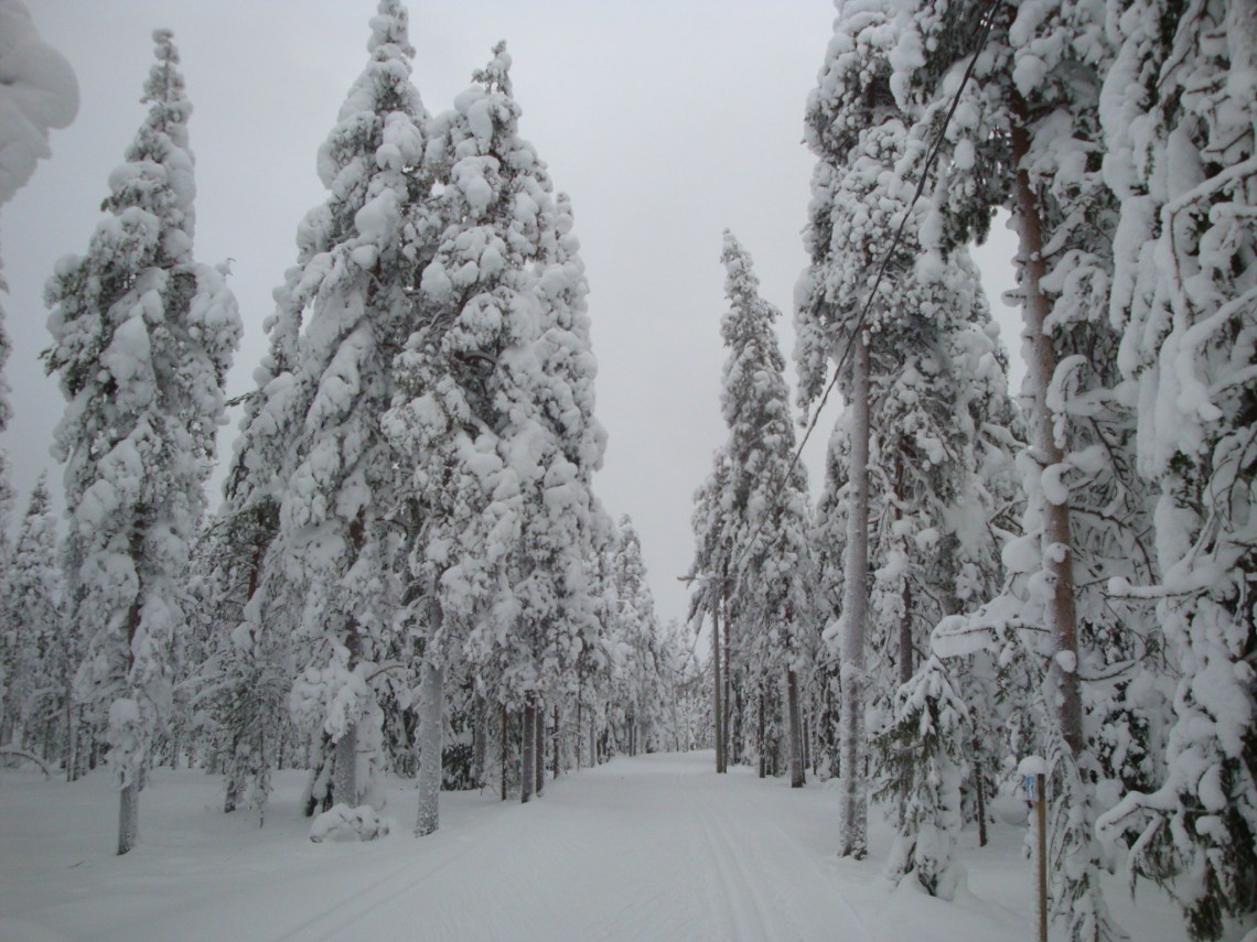 Lapland (88)