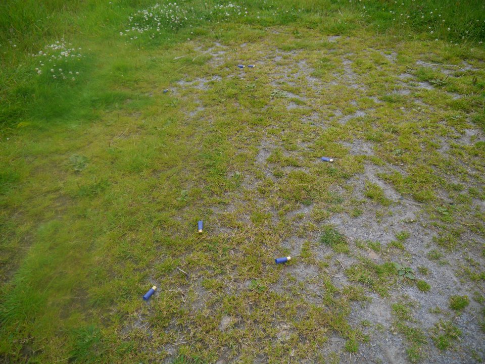 Parking at Aldivalloch