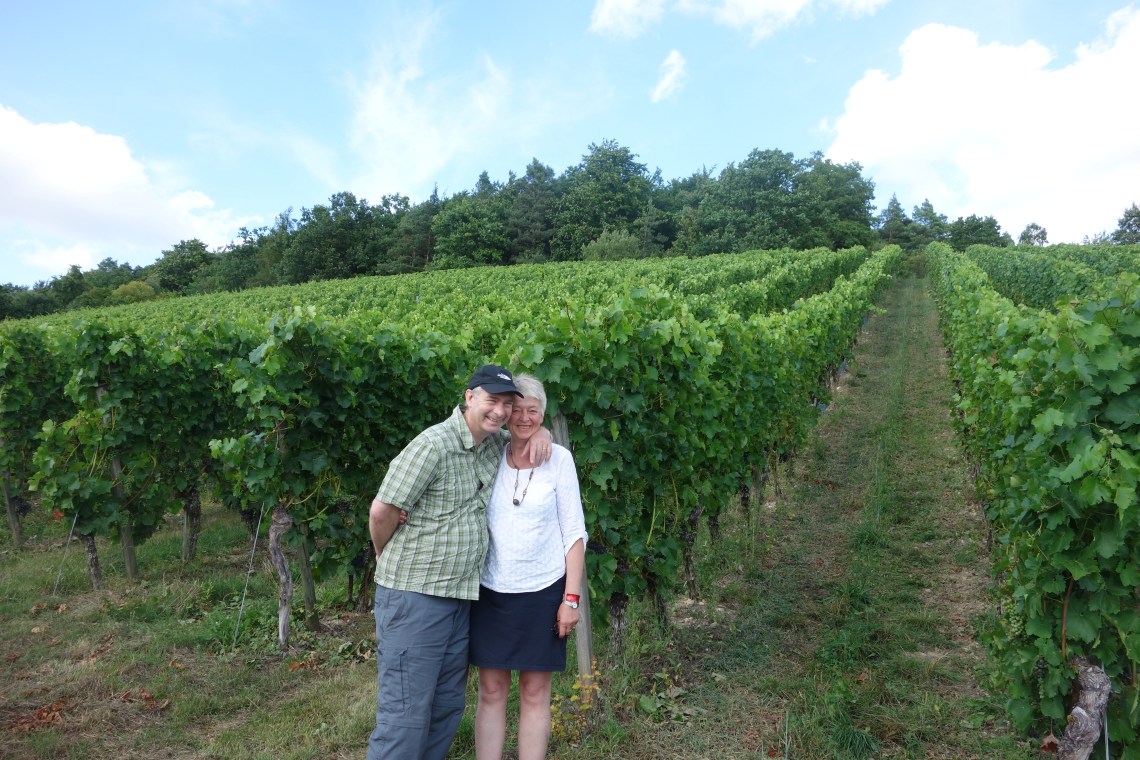 Weinhills near Veitshoechheim
