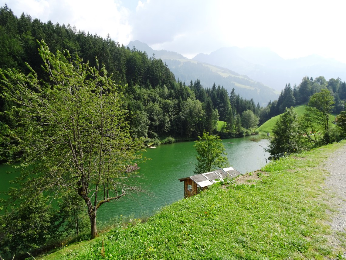 Seewald See near Fontanella