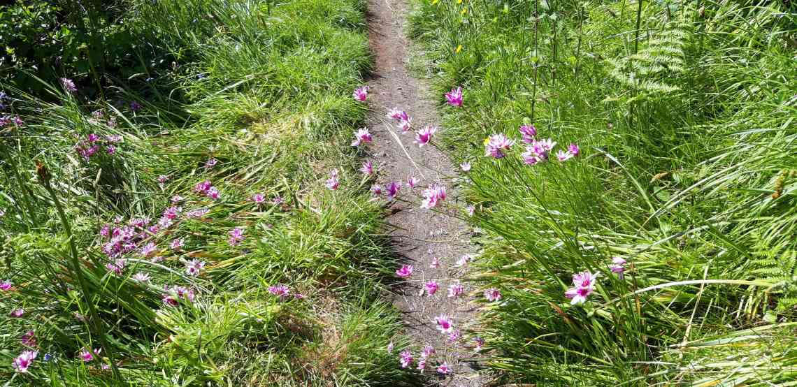 66741282_360079944670500_1829256249590415360_n-min