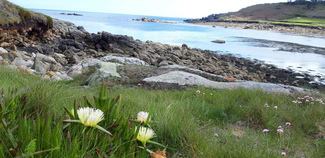 66912348_344976879748004_4020542426501349376_n-min